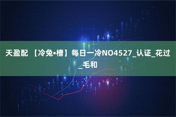 天盈配 【冷兔•槽】每日一冷NO4527_认证_花过_毛和