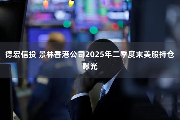 德宏信投 景林香港公司2025年二季度末美股持仓曝光