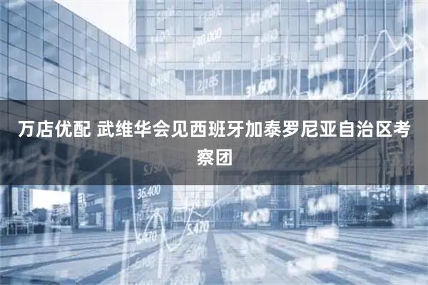 万店优配 武维华会见西班牙加泰罗尼亚自治区考察团