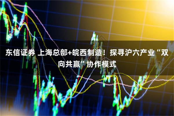 东信证券 上海总部+皖西制造！探寻沪六产业“双向共赢”协作模式