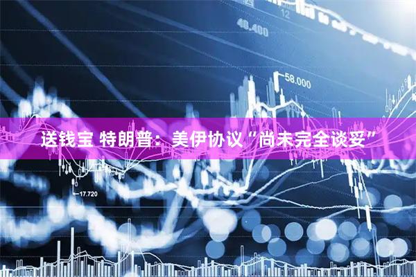 送钱宝 特朗普：美伊协议“尚未完全谈妥”